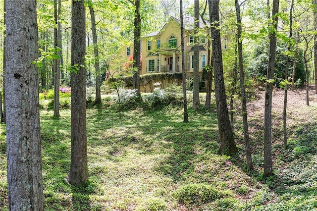 view of yard