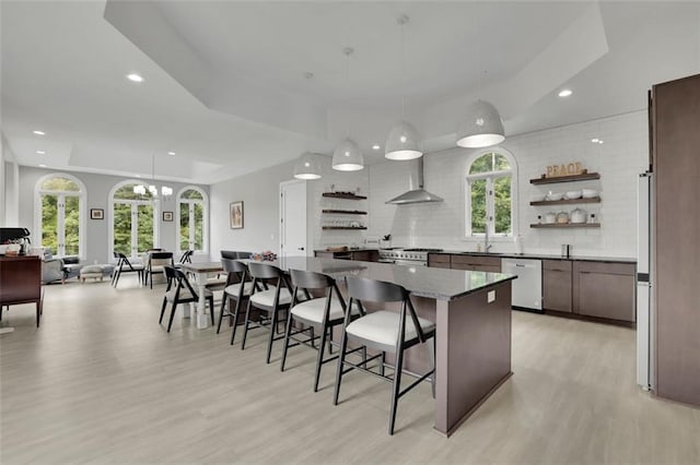 kitchen featuring decorative light fixtures, stainless steel appliances, a wealth of natural light, and light hardwood / wood-style flooring