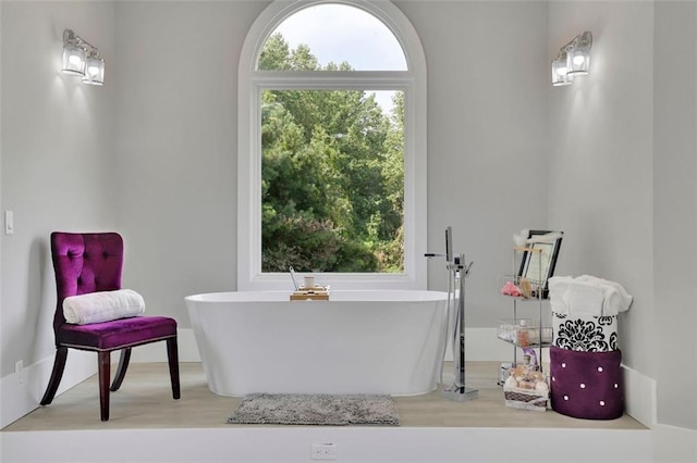 bathroom with a bath and plenty of natural light