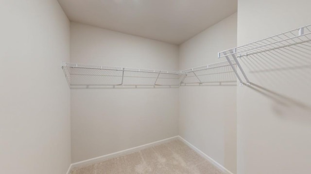 walk in closet with light carpet