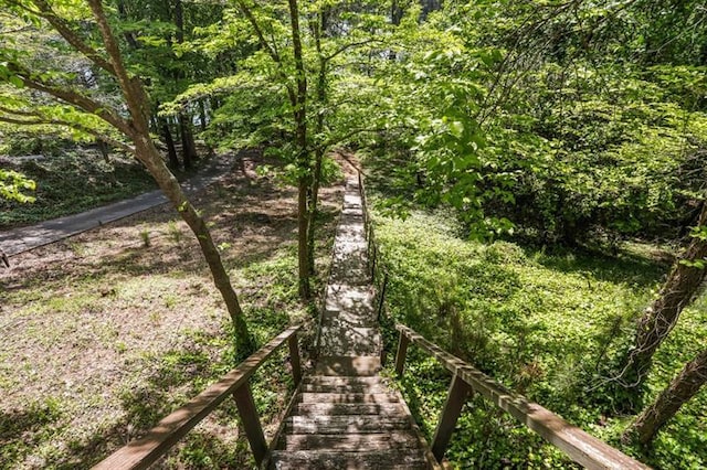 view of local wilderness