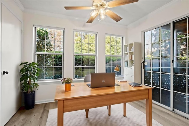 office space with ornamental molding, a healthy amount of sunlight, ceiling fan, and light hardwood / wood-style floors