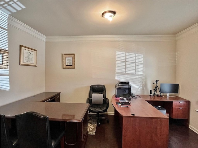 office space featuring dark wood-style floors, baseboards, and crown molding