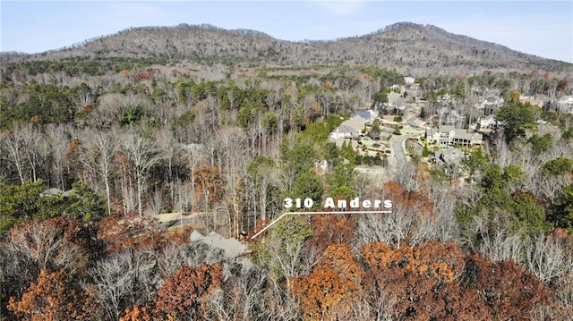 drone / aerial view featuring a mountain view