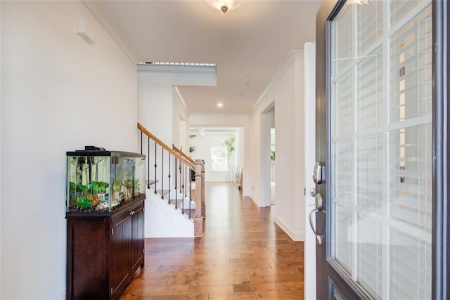 foyer featuring hardwood / wood-style floors and ornamental molding