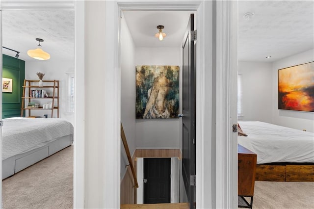 bedroom featuring carpet flooring