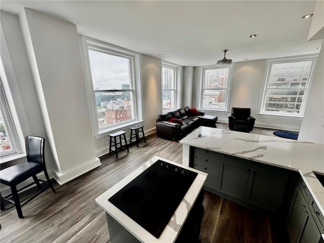 57 Forsyth St NW Unit 14B, Atlanta, GA 30303 - kitchen with light wood-type flooring, light stone countertops, a peninsula, open floor plan, and dark cabinetry