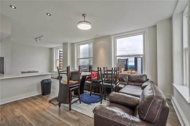 57 Forsyth St NW Unit 14B, Atlanta, GA 30303 - living area featuring wood finished floors and baseboards