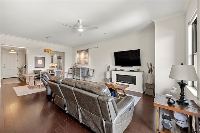 living area with dark wood finished floors, crown molding, a glass covered fireplace, and ceiling fan