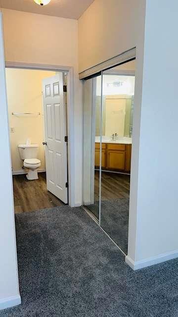 interior space featuring sink and dark carpet