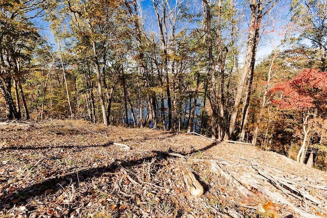 view of landscape with a view of trees