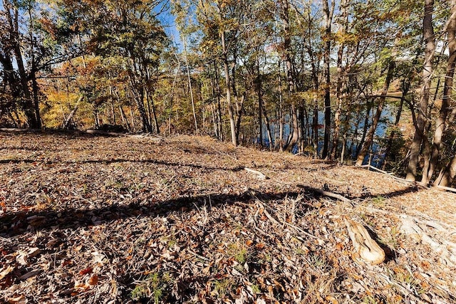 view of landscape