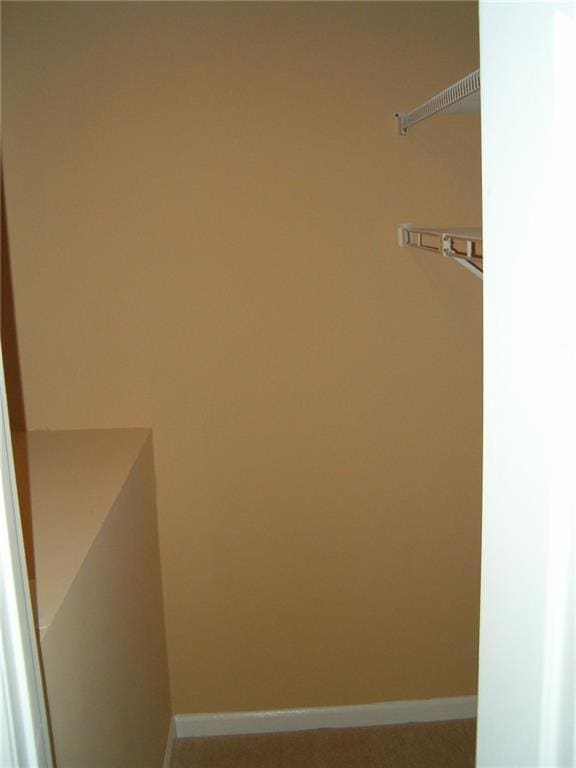 walk in closet with light colored carpet