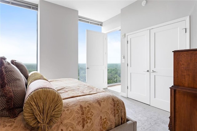2795 Peachtree Rd NE Unit 2101, Atlanta, GA 30305 - bedroom featuring light carpet and a closet