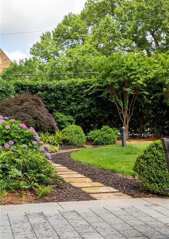 2795 Peachtree Rd NE Unit 2101, Atlanta, GA 30305 - view of yard