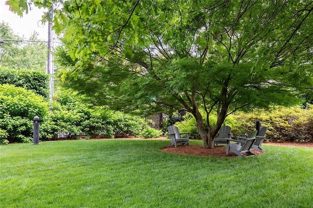 2795 Peachtree Rd NE Unit 2101, Atlanta, GA 30305 - view of grassy yard