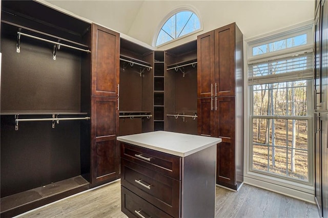 walk in closet featuring light wood-type flooring