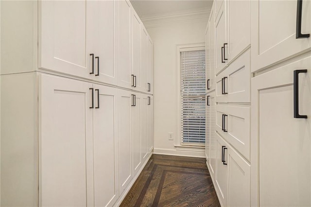 spacious closet featuring dark hardwood / wood-style floors