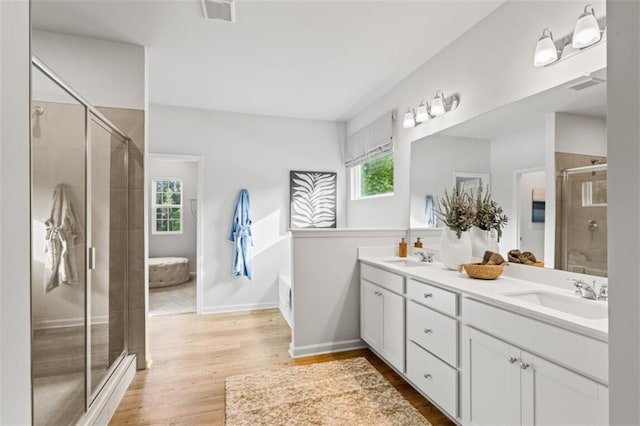 817 Dobby Way, Mcdonough, GA 30252 - bathroom with double vanity, a shower stall, wood finished floors, and a bathtub