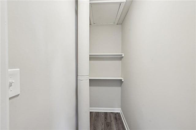 spacious closet with wood finished floors