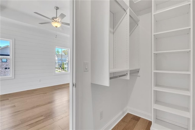 spacious closet with wood-type flooring and ceiling fan