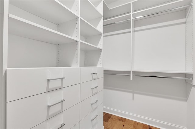 walk in closet featuring hardwood / wood-style flooring