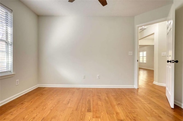 spare room with light hardwood / wood-style flooring and ceiling fan