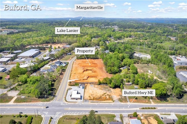 409 Thunder Rd, Buford, GA 30518 - bird's eye view of a forest