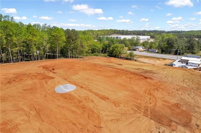 409 Thunder Rd, Buford, GA 30518 - view of yard with a wooded view