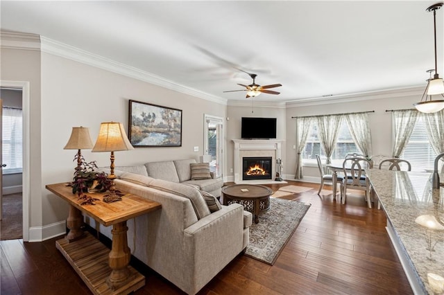 living room featuring crown molding, ceiling fan, and dark hardwood / wood-style flooring