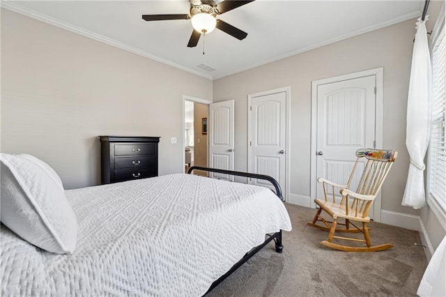 carpeted bedroom featuring multiple closets, ceiling fan, and ornamental molding