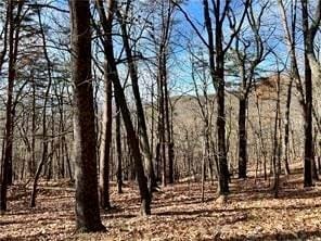 1520 Moss Patch Trl, Jasper GA, 30143 land for sale