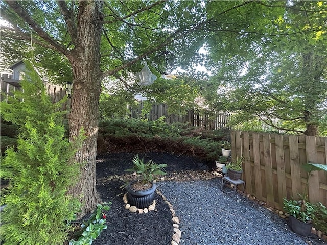 127 Spring Way Sq, Canton, GA 30114 - view of yard