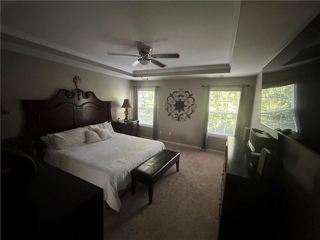 127 Spring Way Sq, Canton, GA 30114 - bedroom with a tray ceiling, carpet, multiple windows, and ceiling fan