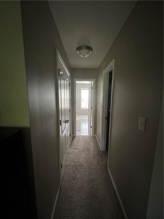 127 Spring Way Sq, Canton, GA 30114 - hallway with carpet flooring and baseboards
