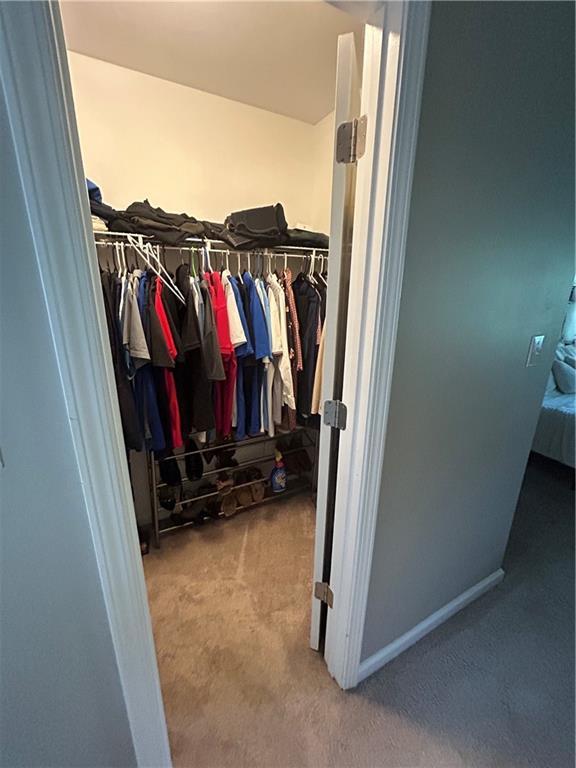 127 Spring Way Sq, Canton, GA 30114 - spacious closet featuring carpet