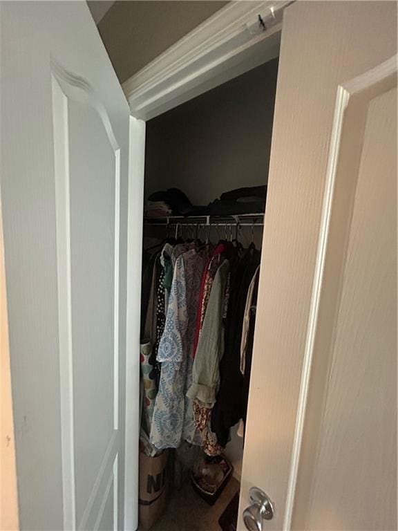 127 Spring Way Sq, Canton, GA 30114 - view of closet