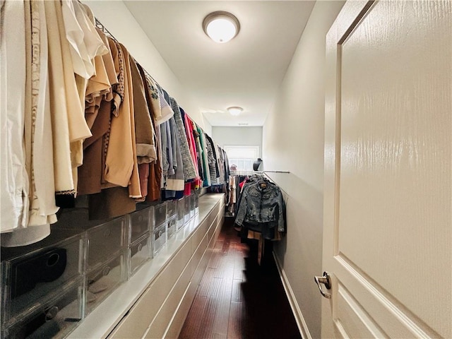 walk in closet with dark wood finished floors