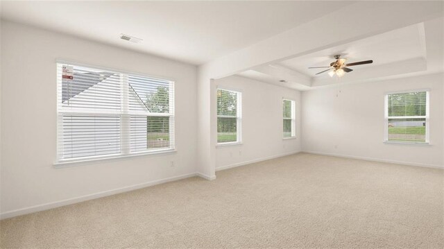 989 Blue Juniper Cir, Loganville, GA 30052 - spare room featuring a raised ceiling, plenty of natural light, and baseboards