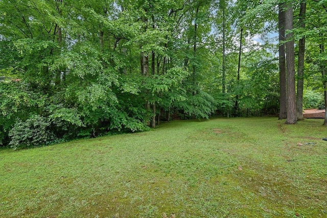 view of grassy yard