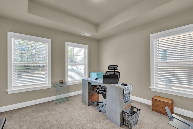 carpeted office space with a raised ceiling