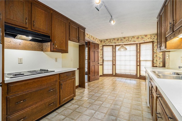 kitchen with light floors, a sink, light countertops, stainless steel electric stovetop, and under cabinet range hood