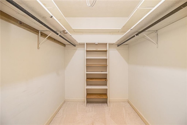 walk in closet featuring carpet flooring