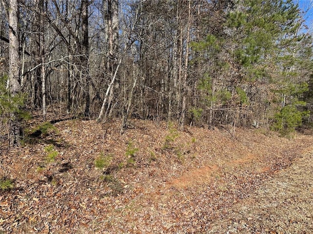 275 Shore Crest Dr, Martin, GA 30557