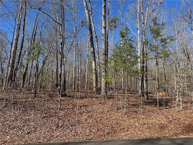 275 Shore Crest Dr, Martin, GA 30557