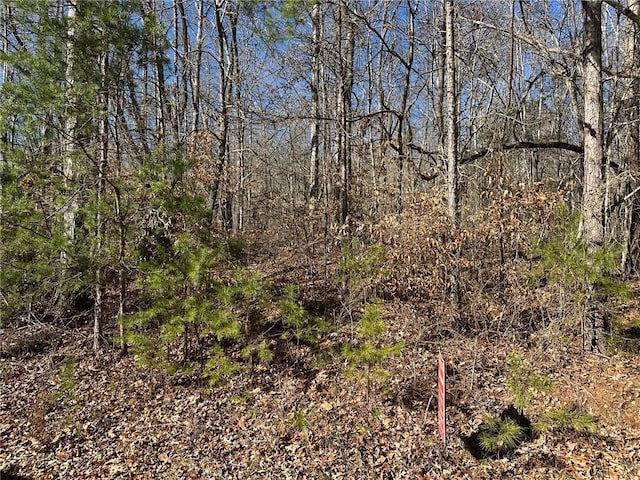 275 Shore Crest Dr, Martin, GA 30557