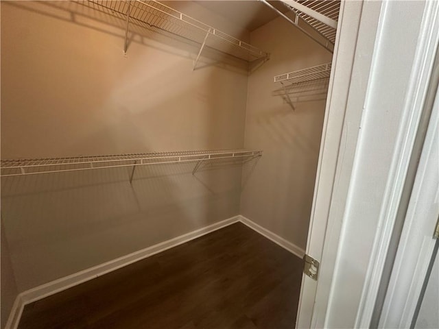 spacious closet with dark wood finished floors