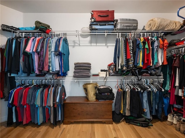 4523 Warwick Glen Pl, Flowery Branch, GA 30542 - walk in closet with wood finished floors