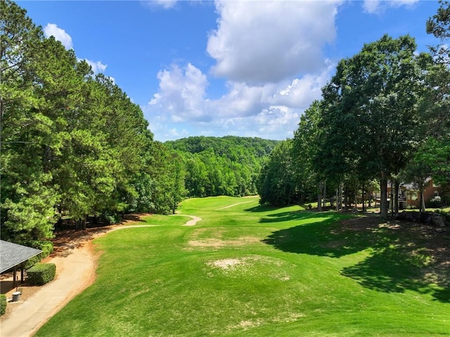 4523 Warwick Glen Pl, Flowery Branch, GA 30542 - view of property's community featuring view of golf course and a lawn