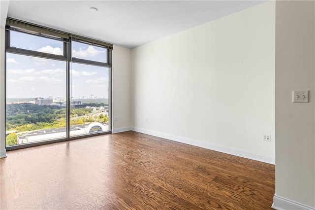 spare room featuring a wealth of natural light, expansive windows, and hardwood / wood-style floors